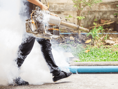 About MPPP Myrtle Point - monthly pest prevention plans experts in Myrtle Point