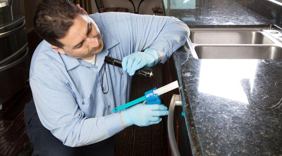 Professional monthly pest prevention plans services in Myrtle Point - MPPP Myrtle Point